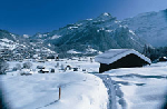 Уникальная возможность арендовать шале на Новый Год в Швейцарии!!!